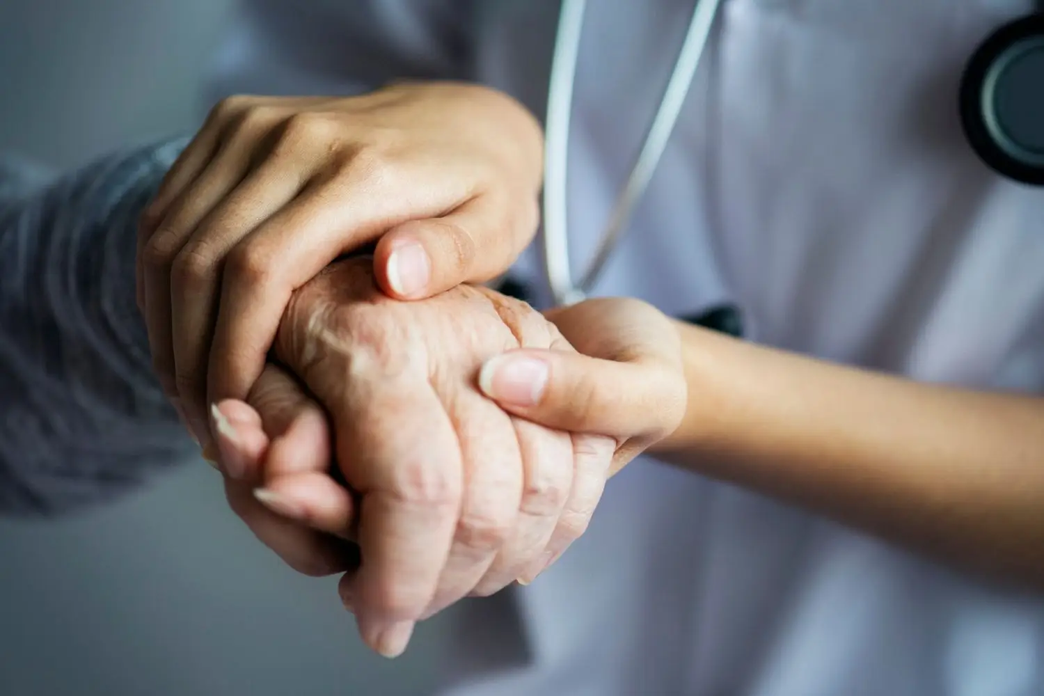 Assistenza domiciliare nel caos: centinaia di segnalazioni. Ecco cosa sta accadendo Immagine selezionata