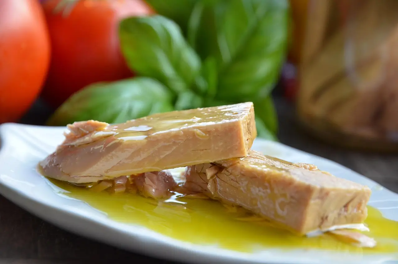 Tonno in scatola: quante porzioni sono davvero sicure secondo gli esperti Tonno in scatola: quante porzioni sono davvero sicure secondo gli esperti
