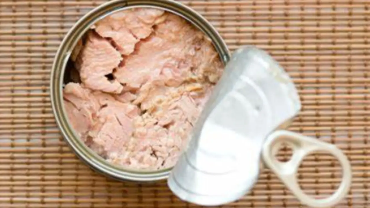 Tonno in scatola: quante porzioni sono davvero sicure secondo gli esperti Immagine selezionata