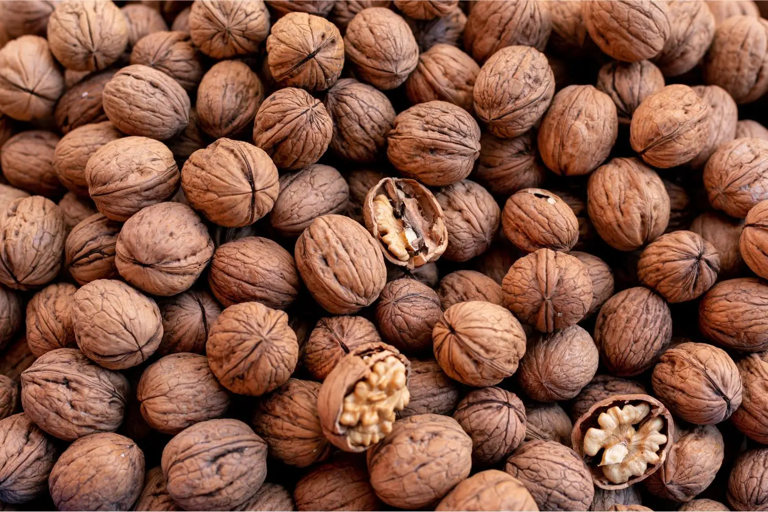 Colesterolo sotto controllo, grazie al consumo quotidiano di noci Colesterolo sotto controllo, grazie al consumo quotidiano di noci