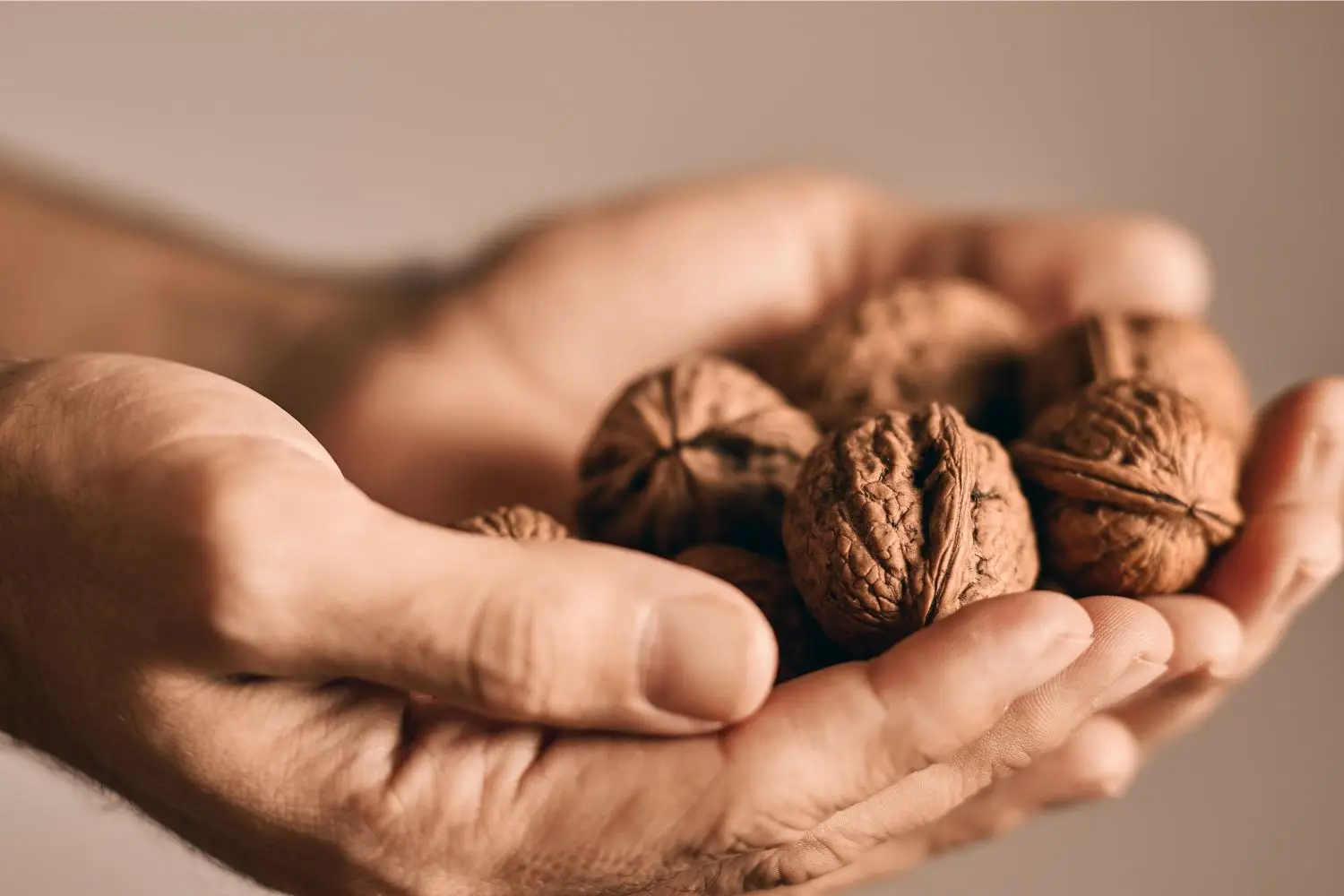 Colesterolo sotto controllo, grazie al consumo quotidiano di noci Colesterolo sotto controllo, grazie al consumo quotidiano di noci