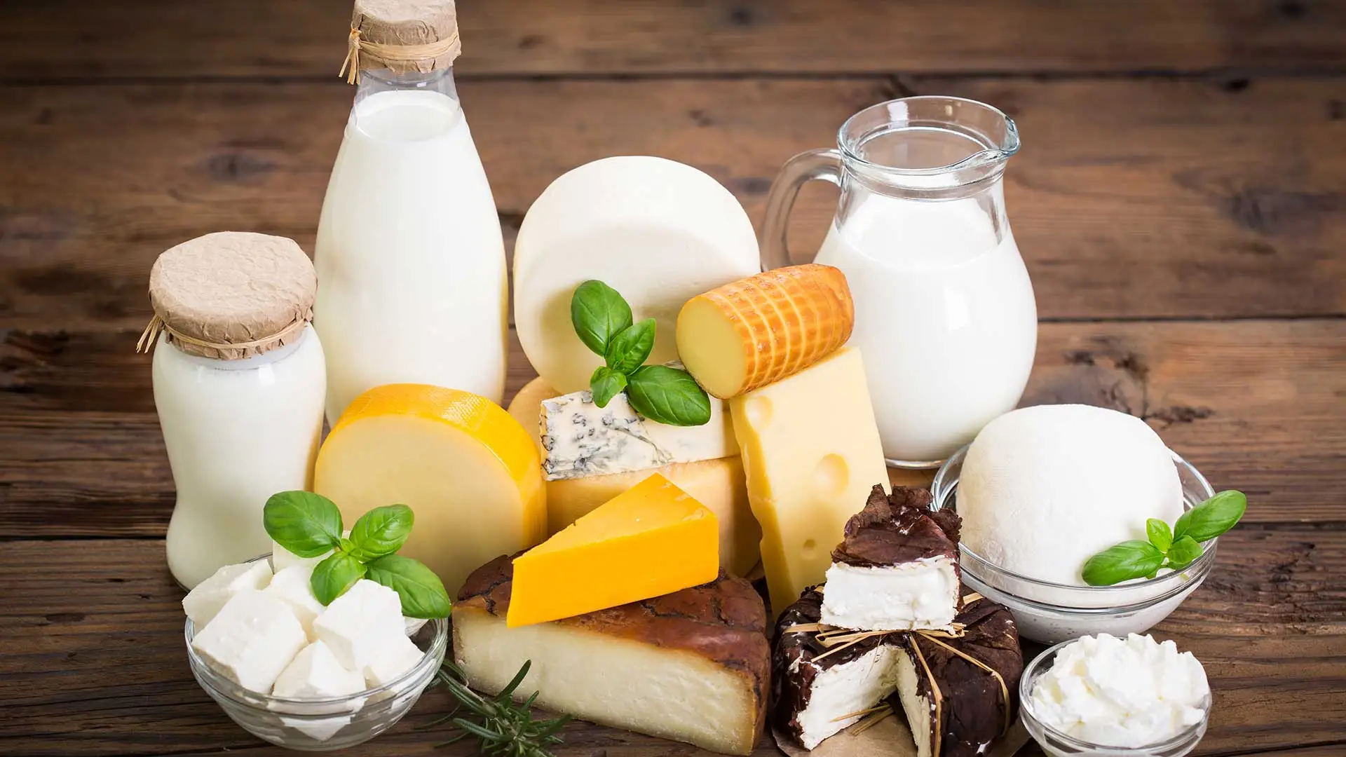 Latticini interi e colesterolo: cosa dicono le nuove linee guida nutrizionali Latticini interi e colesterolo: cosa dicono le nuove linee guida nutrizionali